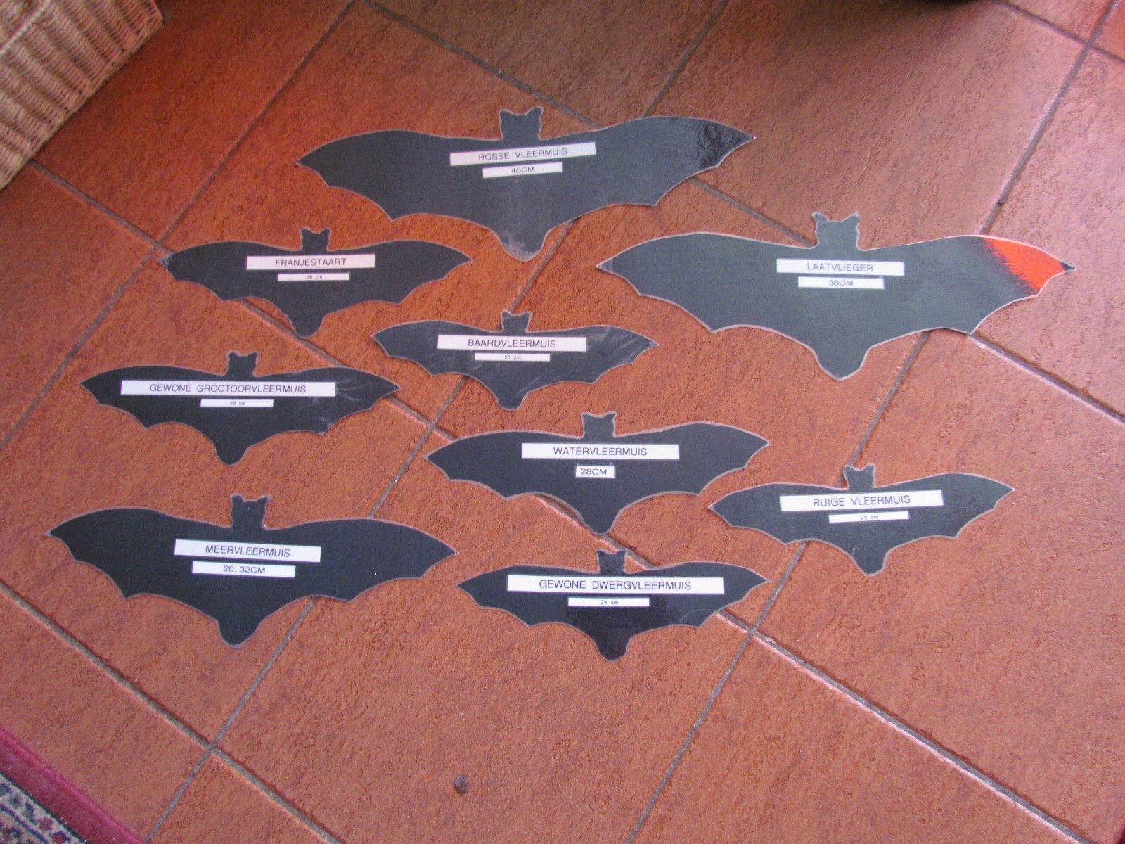 Bat silhouettes at 1:1 scale created by Hillie Waning Vos